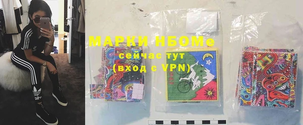 гашик Алзамай