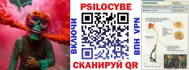 Псилоцибиновые грибы Cubensis  продажа наркотиков  Нолинск 